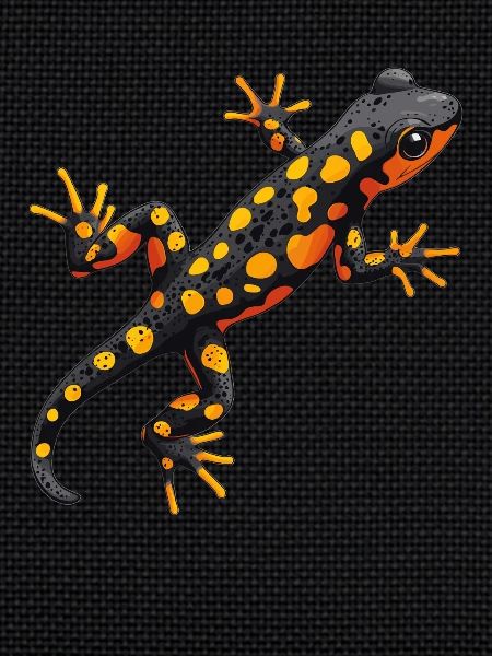 Salamanders Salamander