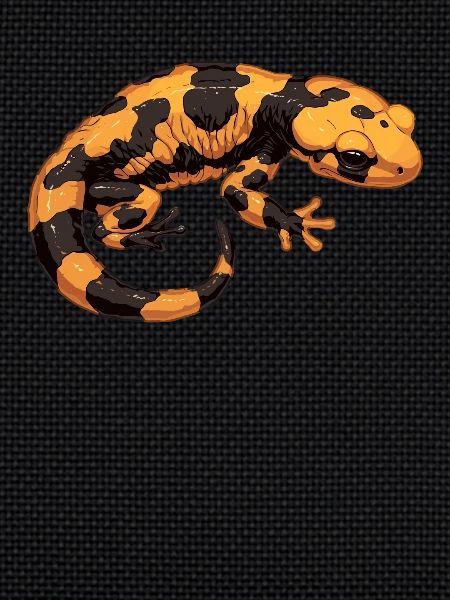 Salamanders Salamander