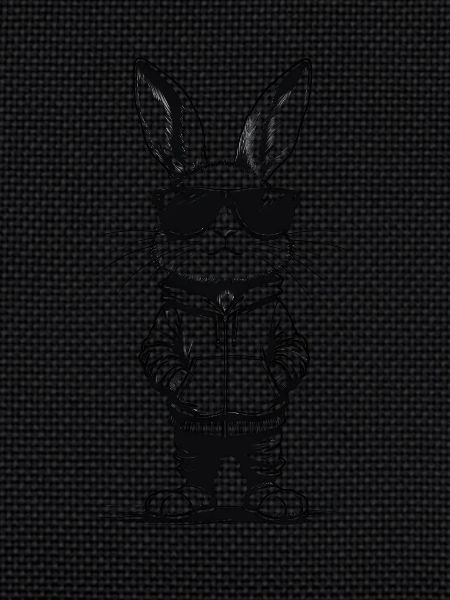 Cool bunny with sunglasses