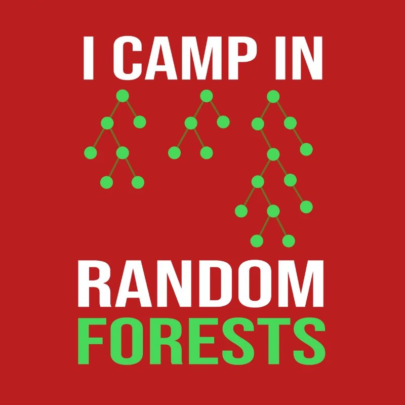 Programmierer Coder GPT