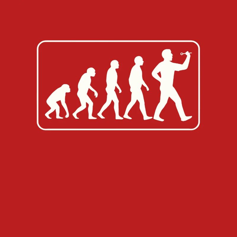 Fléchette Evolution