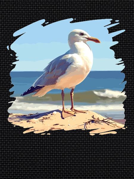 Seagulls Seagull