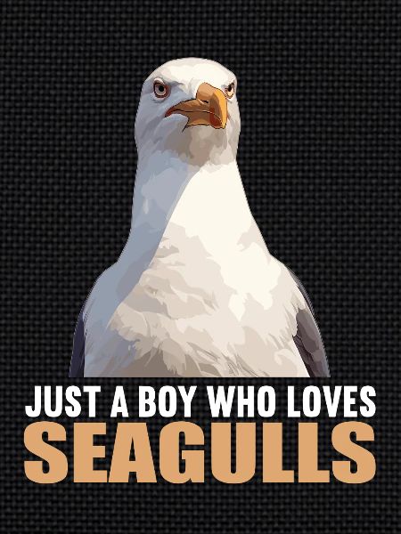Seagulls Seagull