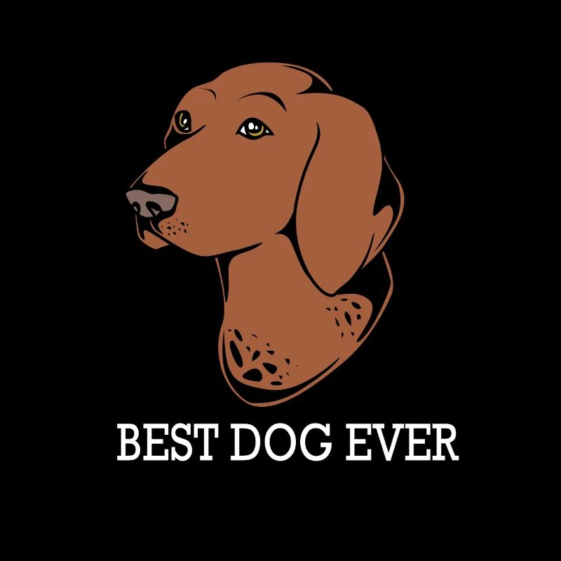 German Pointer Dog German Shorthair