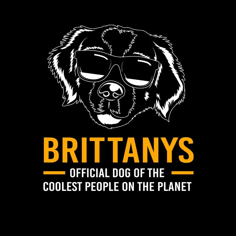Brittany Dog Brittany Dog