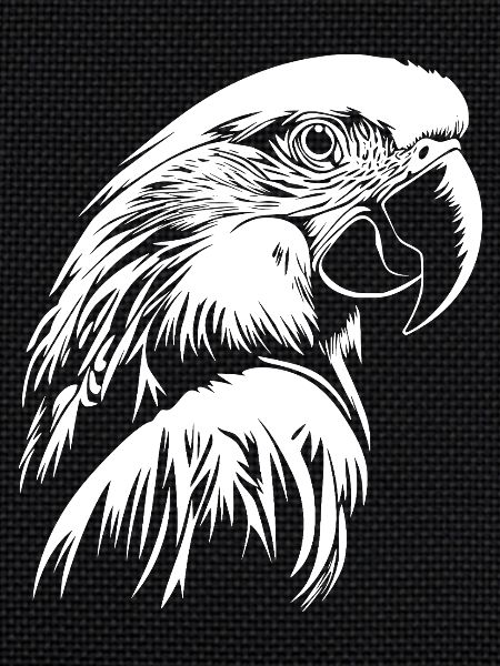 Parrot
