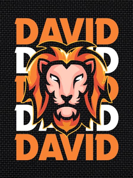 Leo David