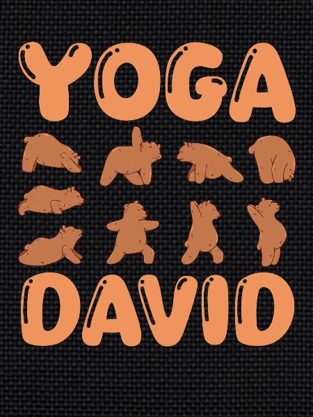 Cat Yoga David