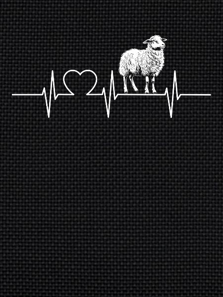 Mouton Mouton