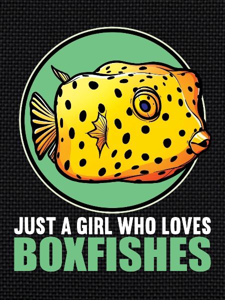 Poisson-coffre Poisson-coffre