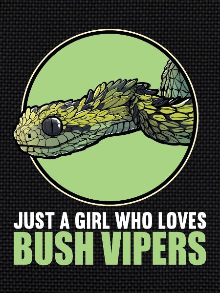 Bush Vipers Bush Viper