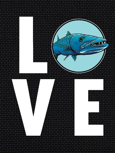 Barracudas Barracuda