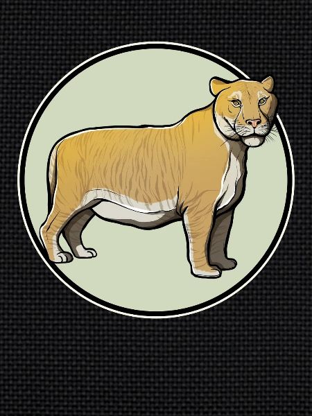 Ligers Liger