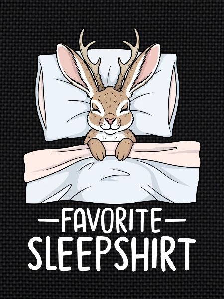 Favorite Sleepshirt
