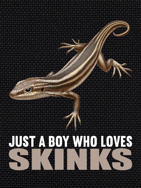 Scinque Skinke