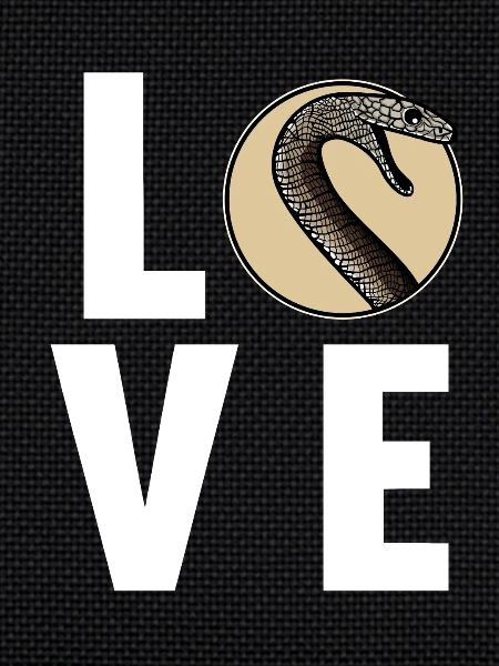 Mambas Mamba