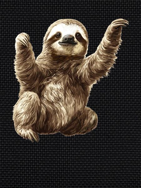 Sloths Sloth