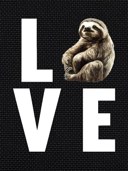 Sloths Sloth