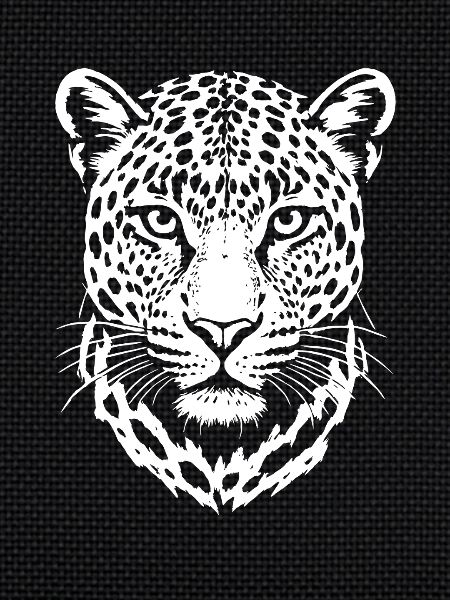 Leopard - Big Cat, Africa