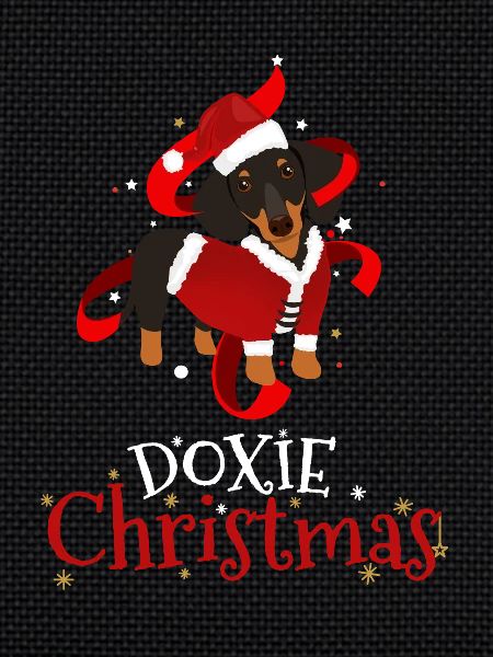 Doxie Teckel Chien Noël