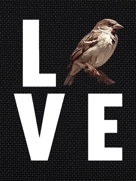 Sparrows Sparrow