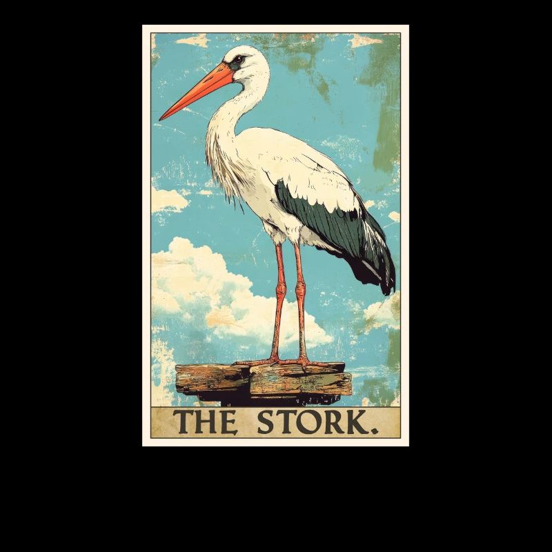 Störche Storch