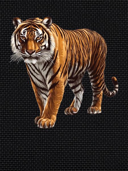 Tigre de Sumatra