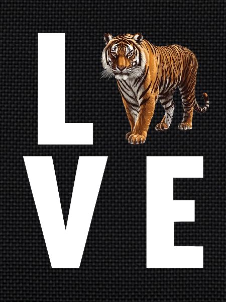 Tigre de Sumatra