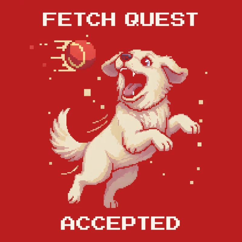 Fetch Quest Accepted | Dog playing ball