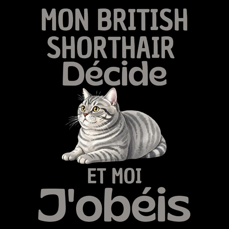 Mon British Shorthair Décide, J’obéis