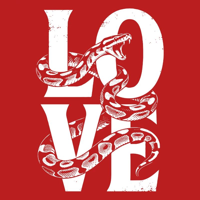 Les serpents rois Python ADORENT les pythons de terrarium