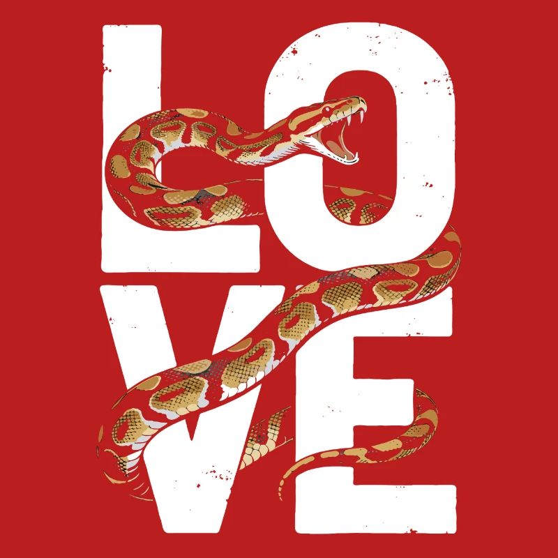 Les serpents rois Python ADORENT les pythons de terrarium