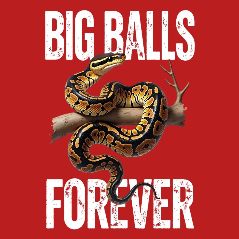 Python roi Serpents Amateurs de terrarium Python