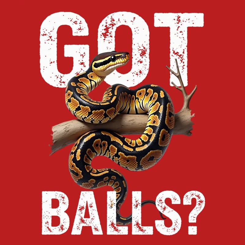 Python roi Serpents Amateurs de terrarium Python