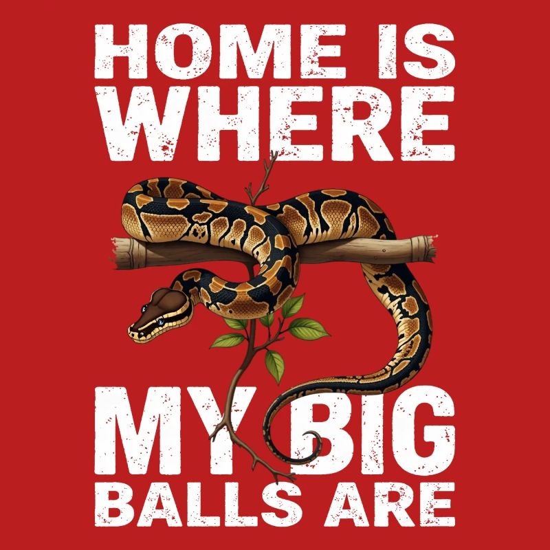 Königspython Schlangen Liebhaber Terrarium Python