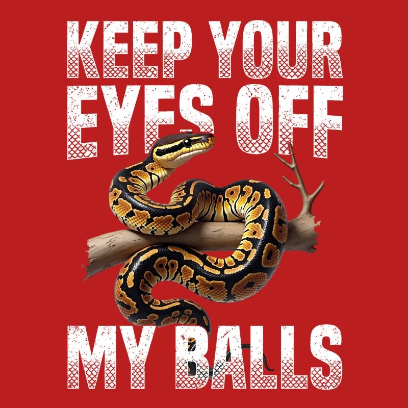 Königspython Schlangen Liebhaber Terrarium Python