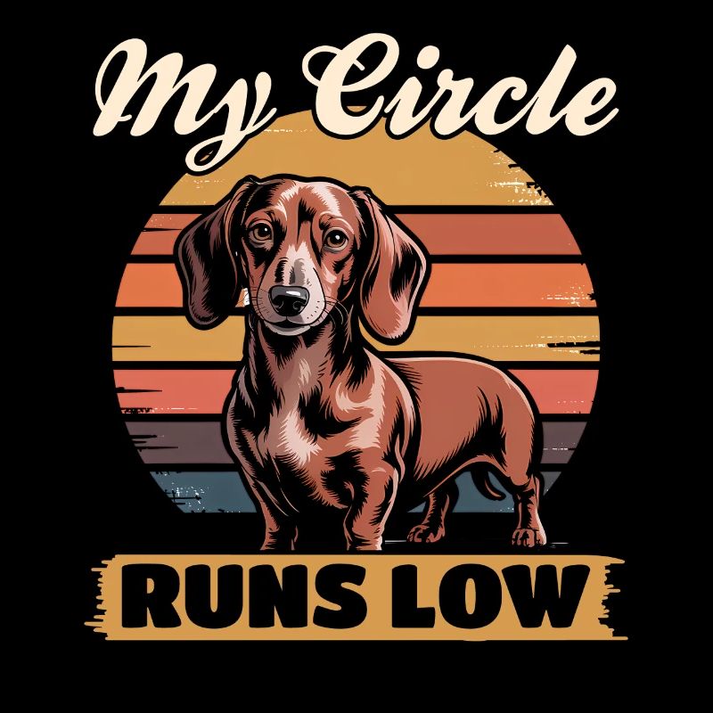 Teckel de race de chien drôle