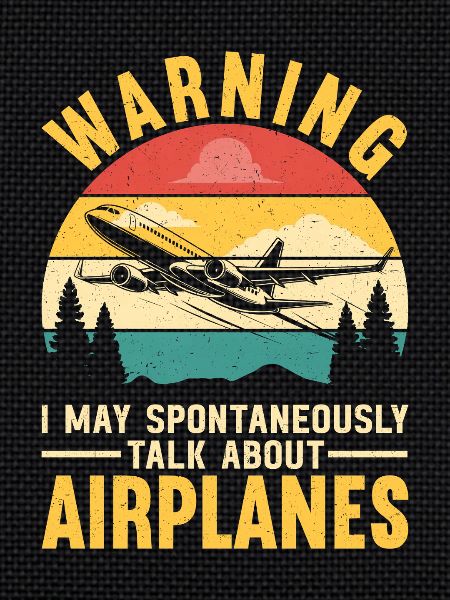 Airplane Flight Pilot Airplane Airline