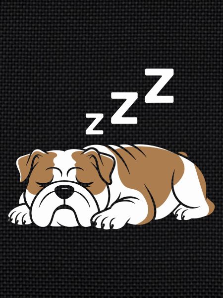 Bulldog