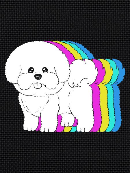 Bichon Frise