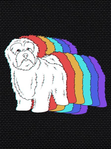 Havanese