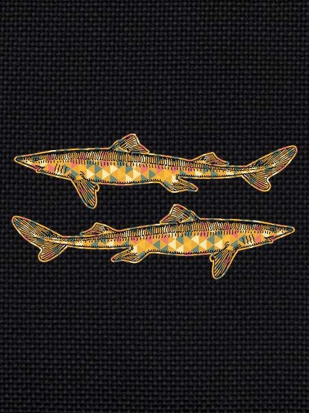Dogfish Geometric