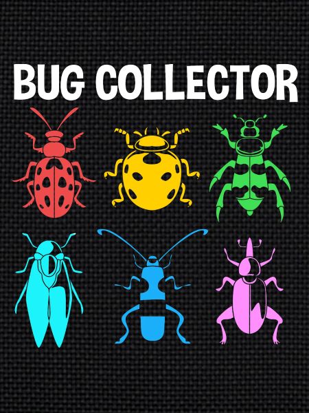 Insect