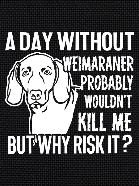 A Day Without Weimaraner