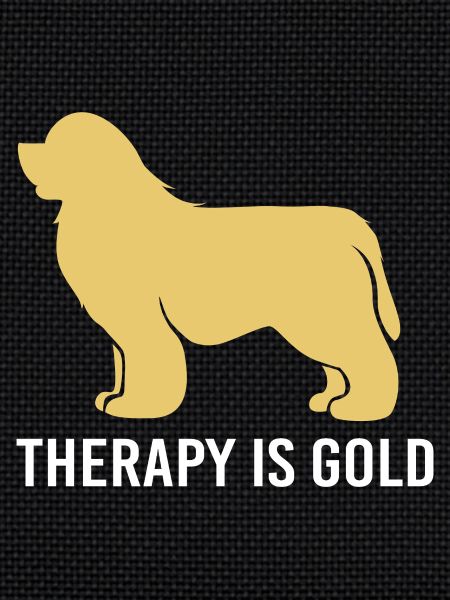 Therapy dog
