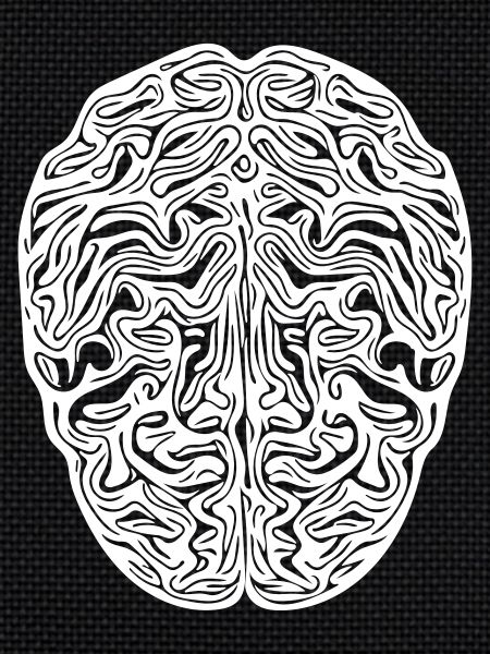 Brain - Anatomical Vector