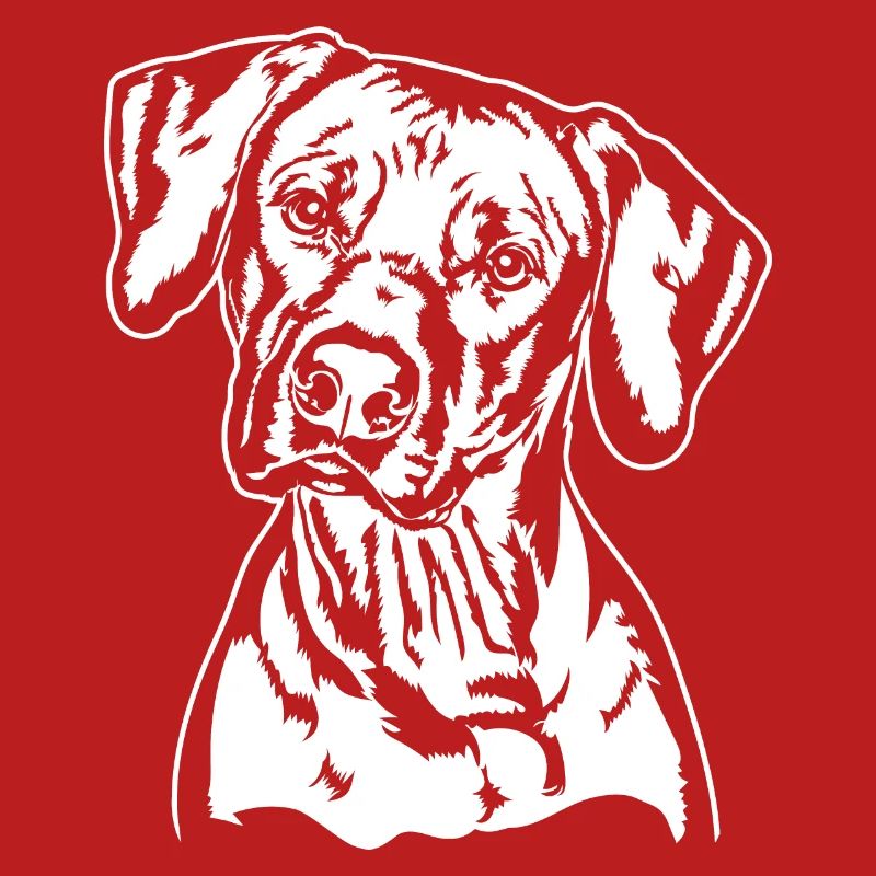 RHODESIAN RIDGEBACK Hunde Portrait Wilsigns