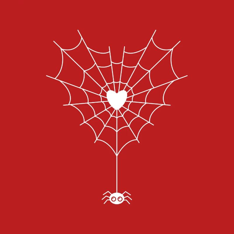 Spinne im Spinnennetz