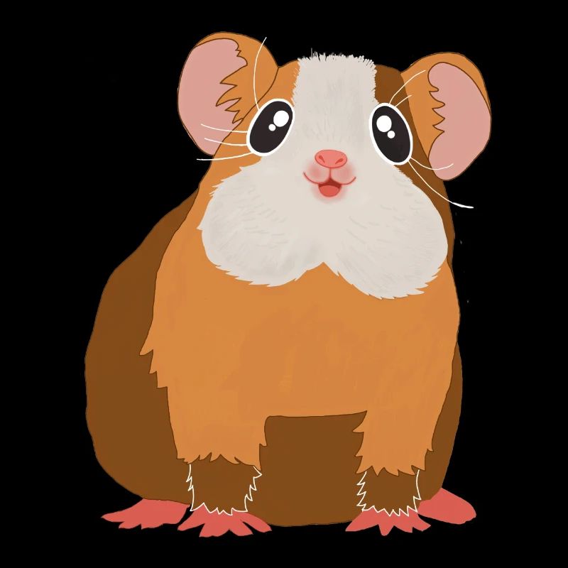 Guinea pig