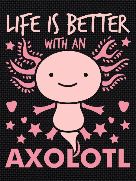 Axolotl